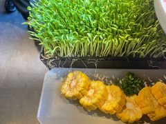 -煲宫猪肚鸡(晶品店)