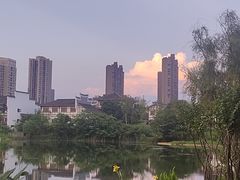 -洋湖国家湿地公园