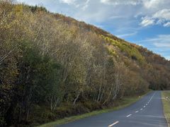 -塞罕坝国家级自然保护区