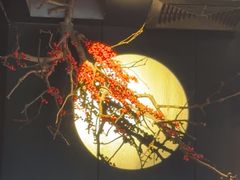 -沅江水·湖南家宴(珠江新城高德置地秋广场店)