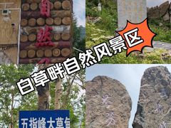 -白草畔自然风景区