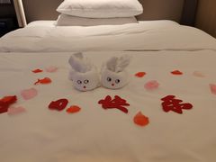 -深圳彭年万丽酒店