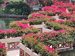 -深圳龙潭公园
