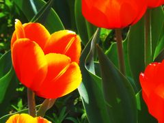 -北京植物园南门售票处