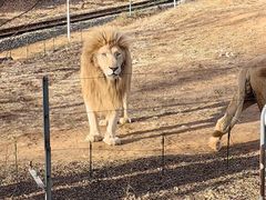 -秦皇岛野生动物园