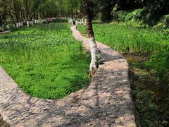 -重庆彩云湖湿地公园