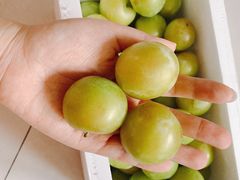 -呼吸森林·生态农庄农家乐私房菜