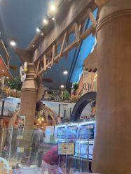 -卡通尼·Safari非洲探索乐园·生日会(金桥国际商业广场店)