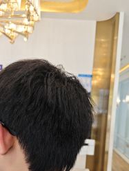 -YESIDO椰岛造型