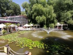 -大鹅岛绿色生态美食园