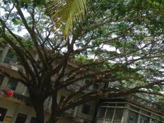 -毛公山瞻仰区售票处