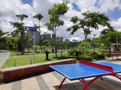 -金鸡岭桥头公园