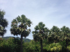 IMG_2285-三亚亚龙湾五号度假别墅酒店