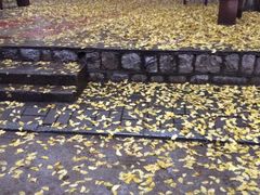 -山东大学(趵突泉校区)