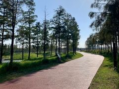 -春花秋色城市公园