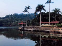 -深圳仙湖植物园