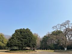 -灵谷景区
