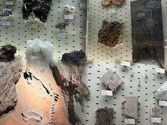 -浙江自然博物院(杭州馆)
