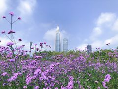 -深圳湾公园(南山区)