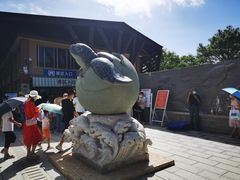 -广东惠东海龟国家级自然保护区