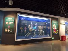 -国家自然博物馆