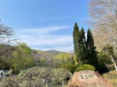 -棒棰岛宾馆景区