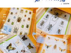 -上海大自然野生昆虫馆(东方明珠·爬宠昆虫探索中心)