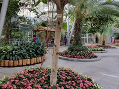 -北京植物园-展览温室