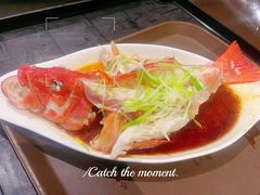 -潇湘甲鱼村(清河店)
