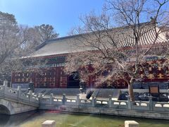 -香山公园