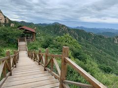 -大岭沟猕猴桃谷风景区