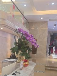 -广州曙光医学美容医院