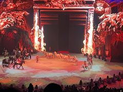 -珠海横琴长隆《卡卡虎奇遇记》