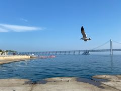 -星海湾跨海大桥