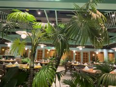 -春润大地海南椰子鸡(沙井京基百纳广场店)