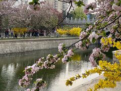 -元大都城垣遗址公园