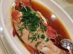 -四海之家(蛇口店)