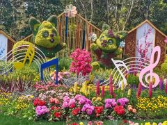 -上海共青森林公园