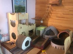 -喵屿·大理花园猫咖