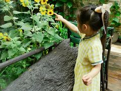 -The Flowers Coffee(南山店)