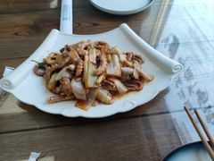 -鲁前海沿儿