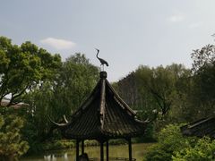 -上海醉白池公园