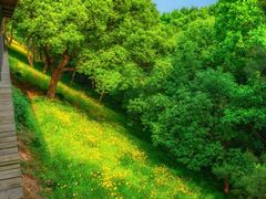 -西湖风景区-江洋畈生态公园