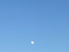 -海堤纪念公园