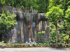 -西双版纳原始森林公园