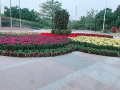-云溪植物园
