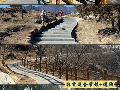 -白水寺森林公园