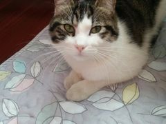 -麦当劳(吴中大道店)