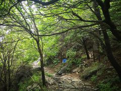 -阳台山自然风景区