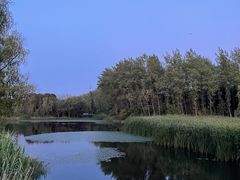 -昆山城市生态森林公园